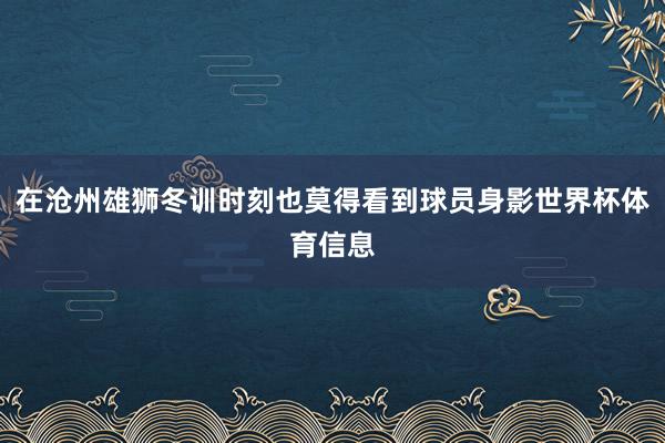 在沧州雄狮冬训时刻也莫得看到球员身影世界杯体育信息