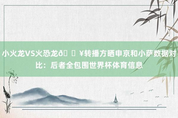 小火龙VS火恐龙🔥转播方晒申京和小萨数据对比：后者全包围世界杯体育信息