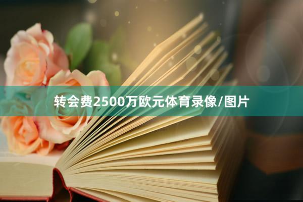 转会费2500万欧元体育录像/图片