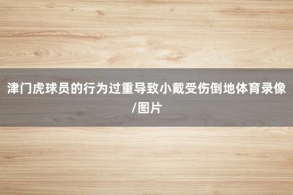 津门虎球员的行为过重导致小戴受伤倒地体育录像/图片