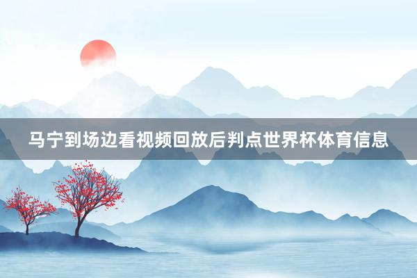 马宁到场边看视频回放后判点世界杯体育信息