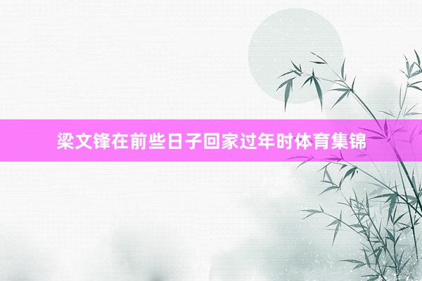梁文锋在前些日子回家过年时体育集锦