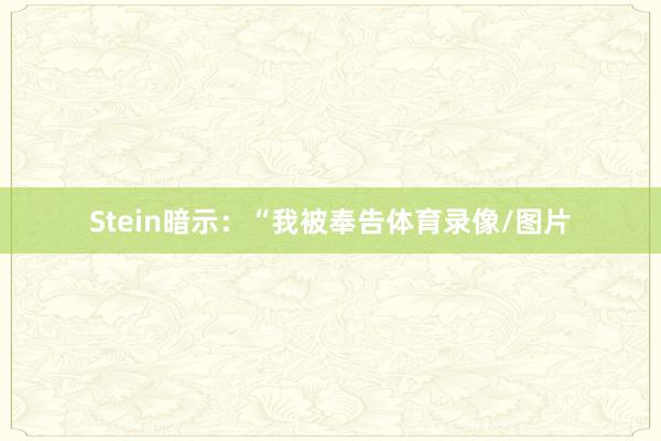 Stein暗示：“我被奉告体育录像/图片