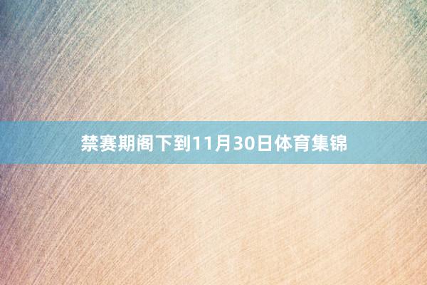 禁赛期阁下到11月30日体育集锦