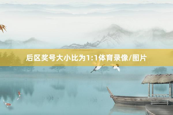 后区奖号大小比为1:1体育录像/图片