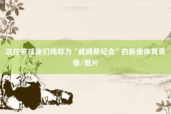 这位被球迷们戏称为“威姆斯纪念”的新援体育录像/图片