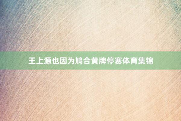 王上源也因为鸠合黄牌停赛体育集锦