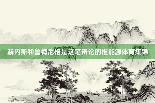 赫内斯和鲁梅尼格是这笔辩论的推能源体育集锦