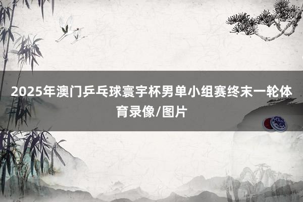 2025年澳门乒乓球寰宇杯男单小组赛终末一轮体育录像/图片