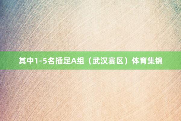 其中1-5名插足A组(武汉赛区)体育集锦