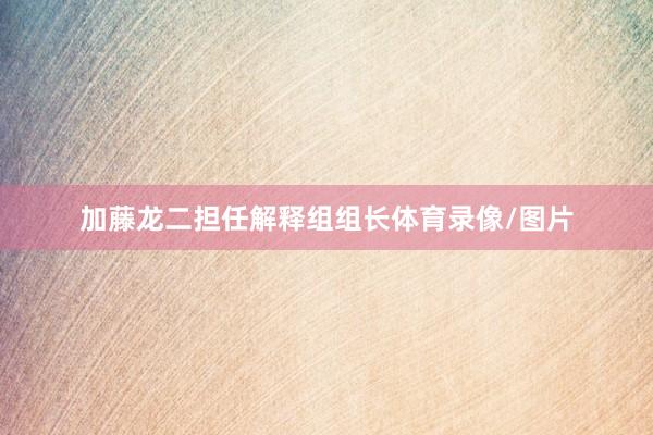 加藤龙二担任解释组组长体育录像/图片