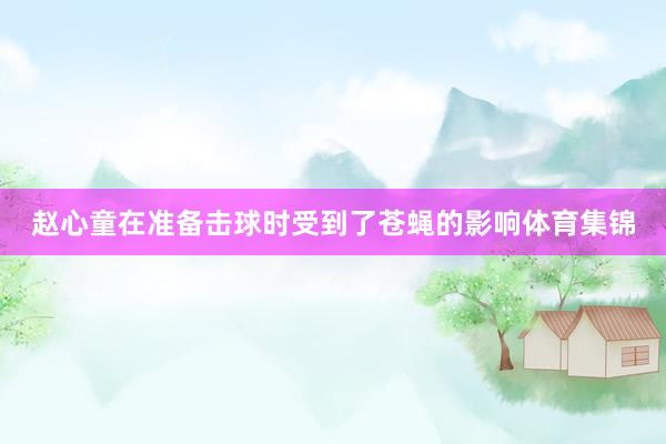 赵心童在准备击球时受到了苍蝇的影响体育集锦