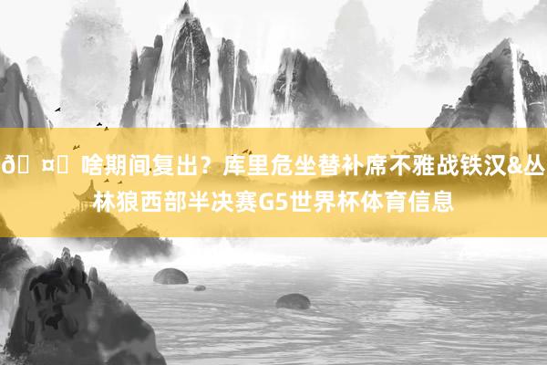 🤔啥期间复出？库里危坐替补席不雅战铁汉&丛林狼西部半决赛G5世界杯体育信息