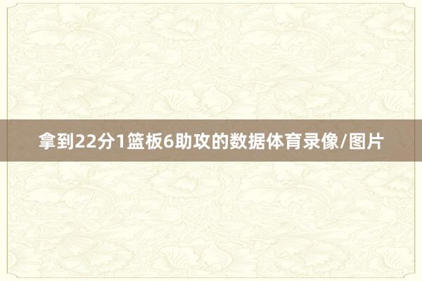 拿到22分1篮板6助攻的数据体育录像/图片