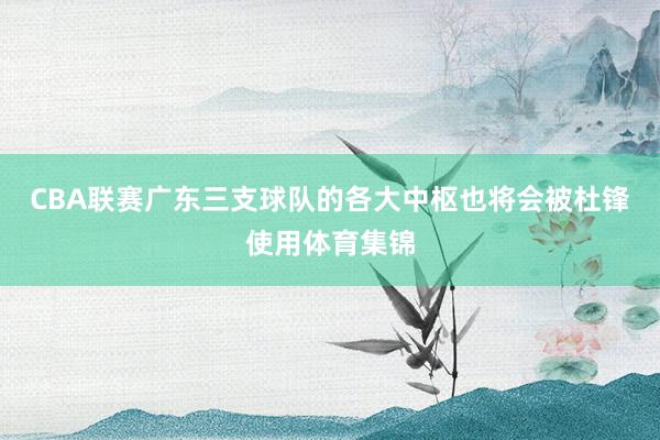 CBA联赛广东三支球队的各大中枢也将会被杜锋使用体育集锦