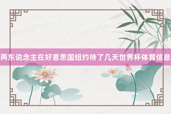 两东说念主在好意思国纽约待了几天世界杯体育信息