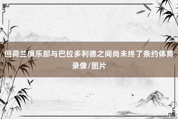 但荷兰俱乐部与巴拉多利德之间尚未终了条约体育录像/图片