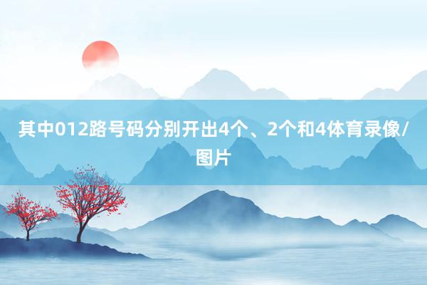 其中012路号码分别开出4个、2个和4体育录像/图片