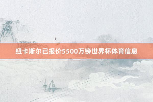纽卡斯尔已报价5500万镑世界杯体育信息
