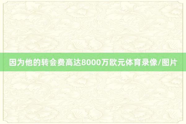 因为他的转会费高达8000万欧元体育录像/图片