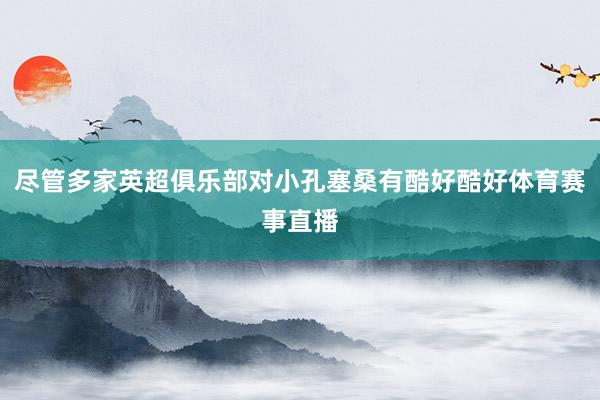 尽管多家英超俱乐部对小孔塞桑有酷好酷好体育赛事直播