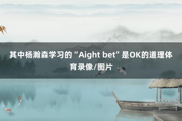 其中杨瀚森学习的“Aight bet”是OK的道理体育录像/图片