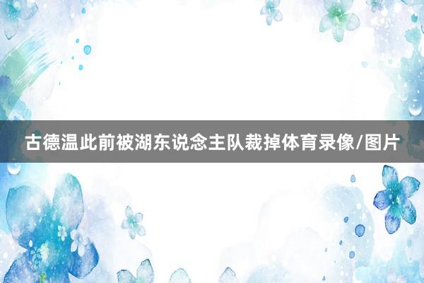 古德温此前被湖东说念主队裁掉体育录像/图片