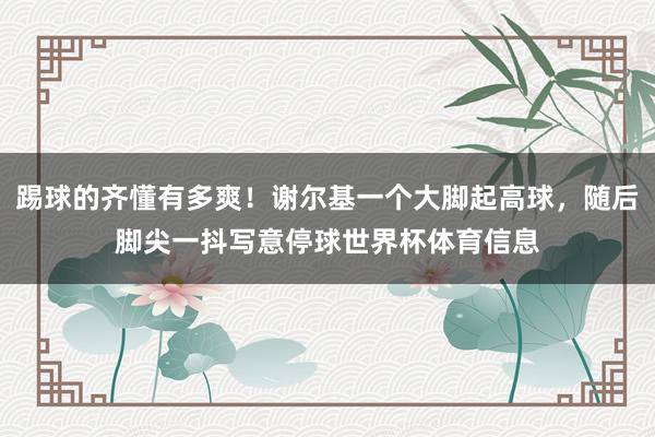 踢球的齐懂有多爽！谢尔基一个大脚起高球，随后脚尖一抖写意停球世界杯体育信息