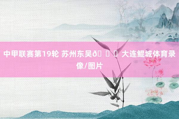 中甲联赛第19轮 苏州东吴🆚大连鲲城体育录像/图片