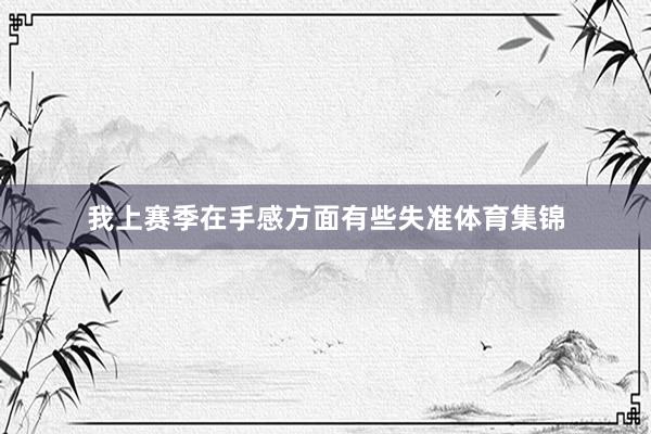 我上赛季在手感方面有些失准体育集锦