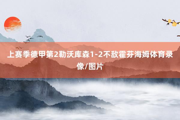 上赛季德甲第2勒沃库森1-2不敌霍芬海姆体育录像/图片