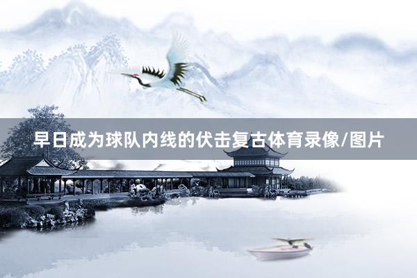 早日成为球队内线的伏击复古体育录像/图片
