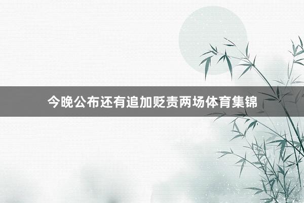 今晚公布还有追加贬责两场体育集锦
