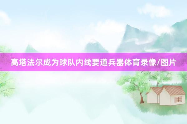 高塔法尔成为球队内线要道兵器体育录像/图片