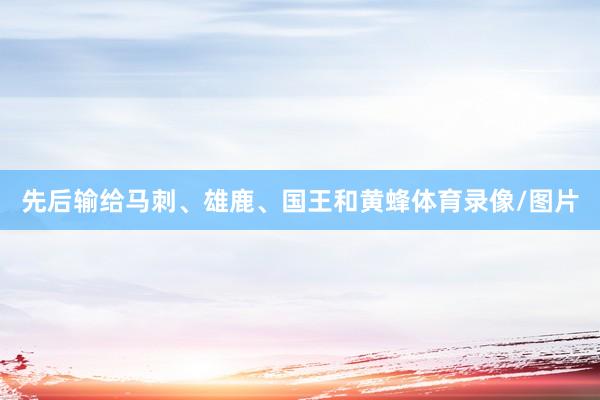 先后输给马刺、雄鹿、国王和黄蜂体育录像/图片