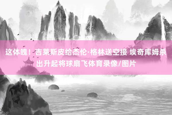这体魄！吉莱斯皮给杰伦·格林送空接 埃奇库姆杀出升起将球扇飞体育录像/图片