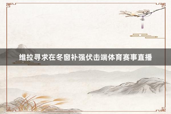 维拉寻求在冬窗补强伏击端体育赛事直播