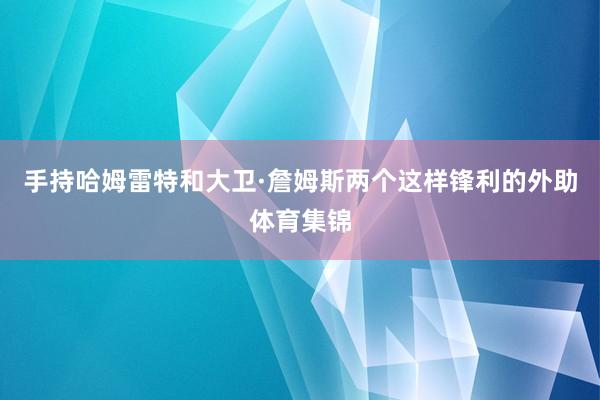 手持哈姆雷特和大卫·詹姆斯两个这样锋利的外助体育集锦