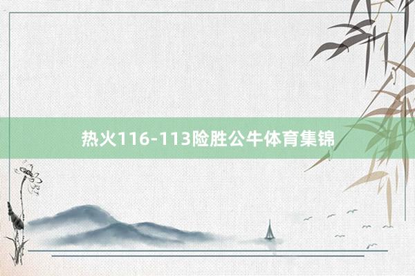 热火116-113险胜公牛体育集锦