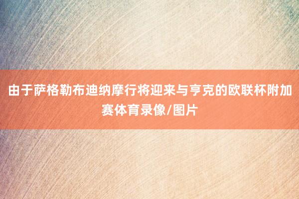 由于萨格勒布迪纳摩行将迎来与亨克的欧联杯附加赛体育录像/图片