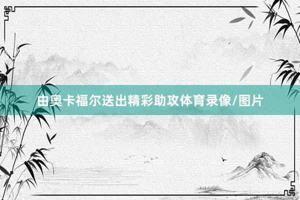 由奥卡福尔送出精彩助攻体育录像/图片