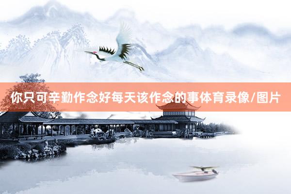 你只可辛勤作念好每天该作念的事体育录像/图片
