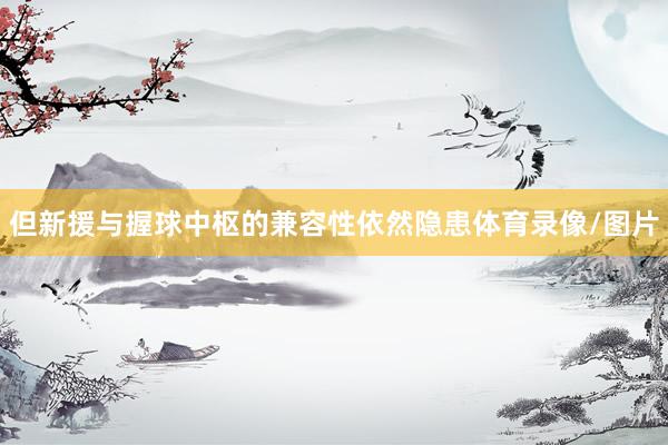 但新援与握球中枢的兼容性依然隐患体育录像/图片