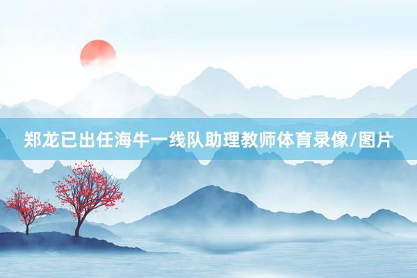 郑龙已出任海牛一线队助理教师体育录像/图片
