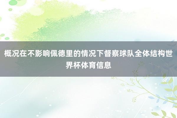 概况在不影响佩德里的情况下督察球队全体结构世界杯体育信息