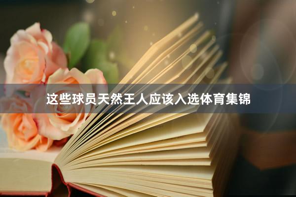 这些球员天然王人应该入选体育集锦
