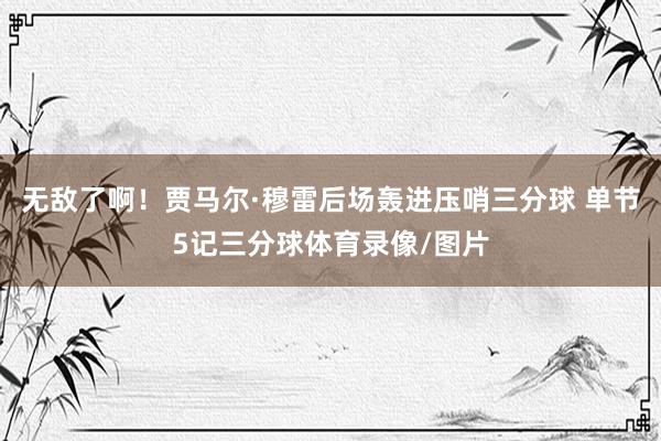 无敌了啊！贾马尔·穆雷后场轰进压哨三分球 单节5记三分球体育录像/图片