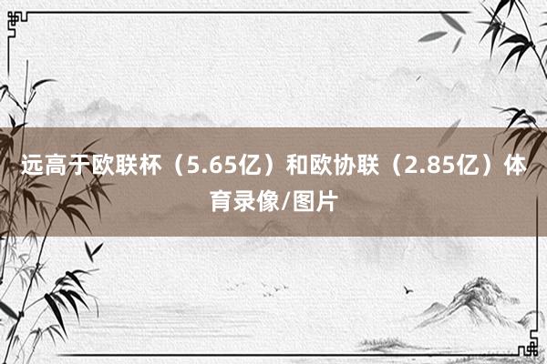 远高于欧联杯（5.65亿）和欧协联（2.85亿）体育录像/图片