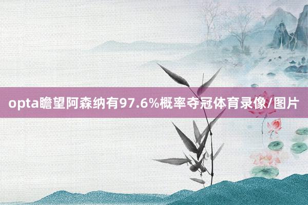 opta瞻望阿森纳有97.6%概率夺冠体育录像/图片