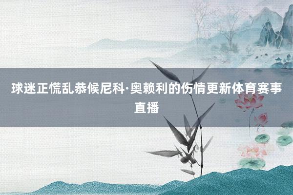 球迷正慌乱恭候尼科·奥赖利的伤情更新体育赛事直播